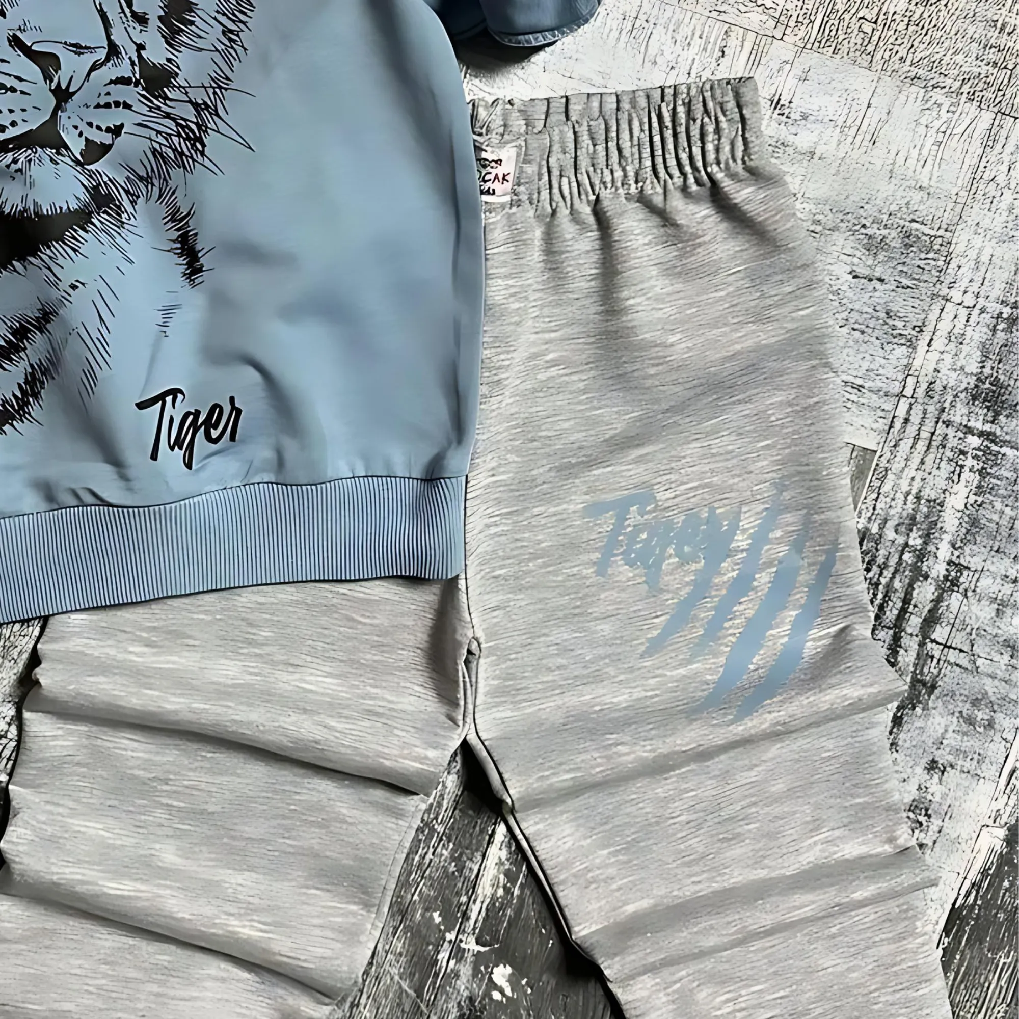 Cool Tiger Boys Joggers Set