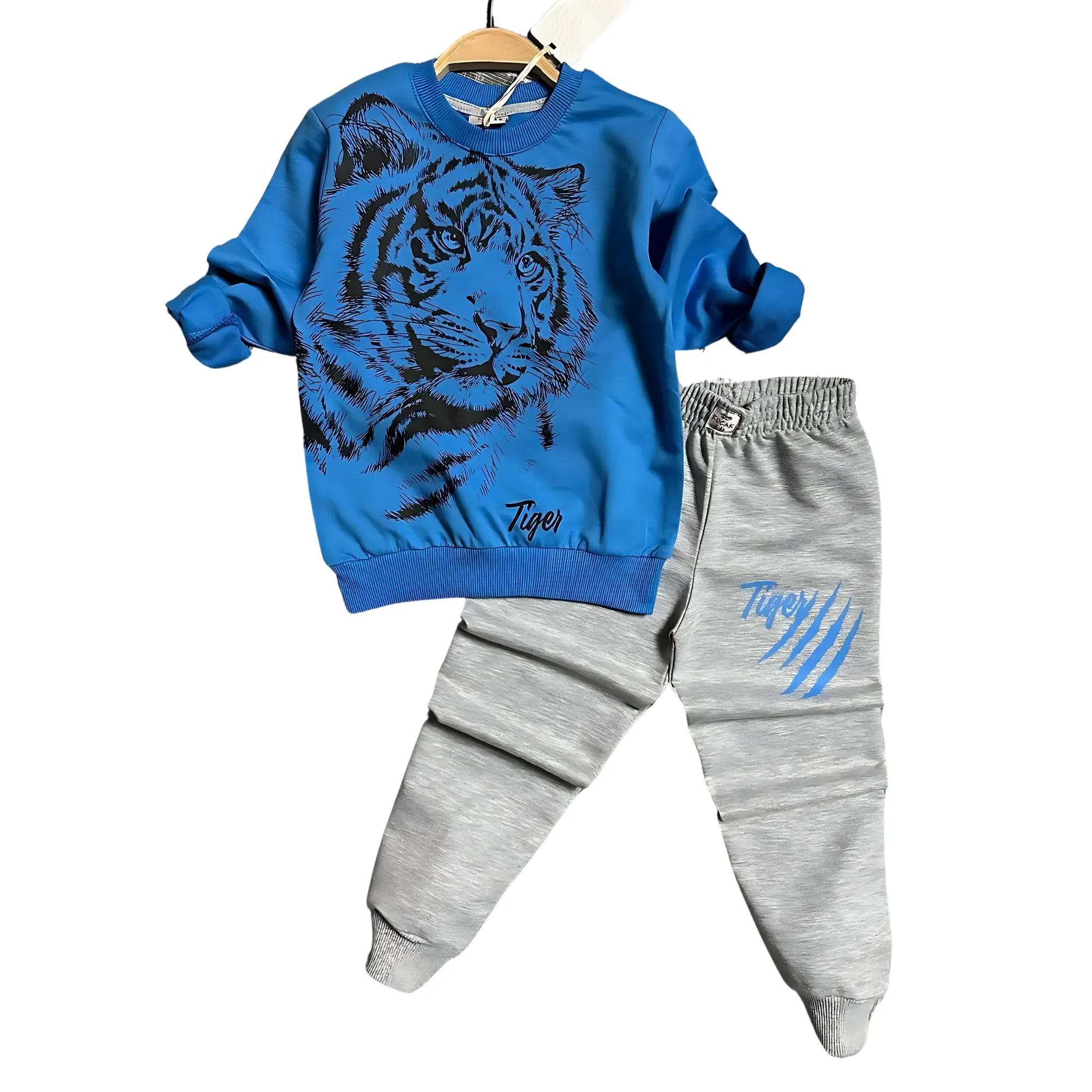 Cool Tiger Boys Joggers Set