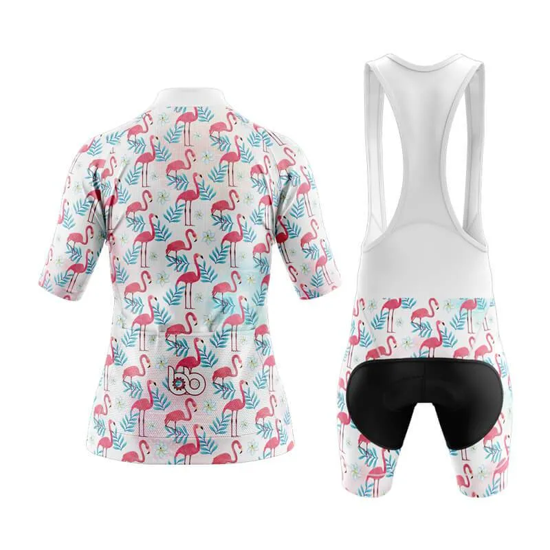 Flamingo New Aero Cycling Kit (V2)