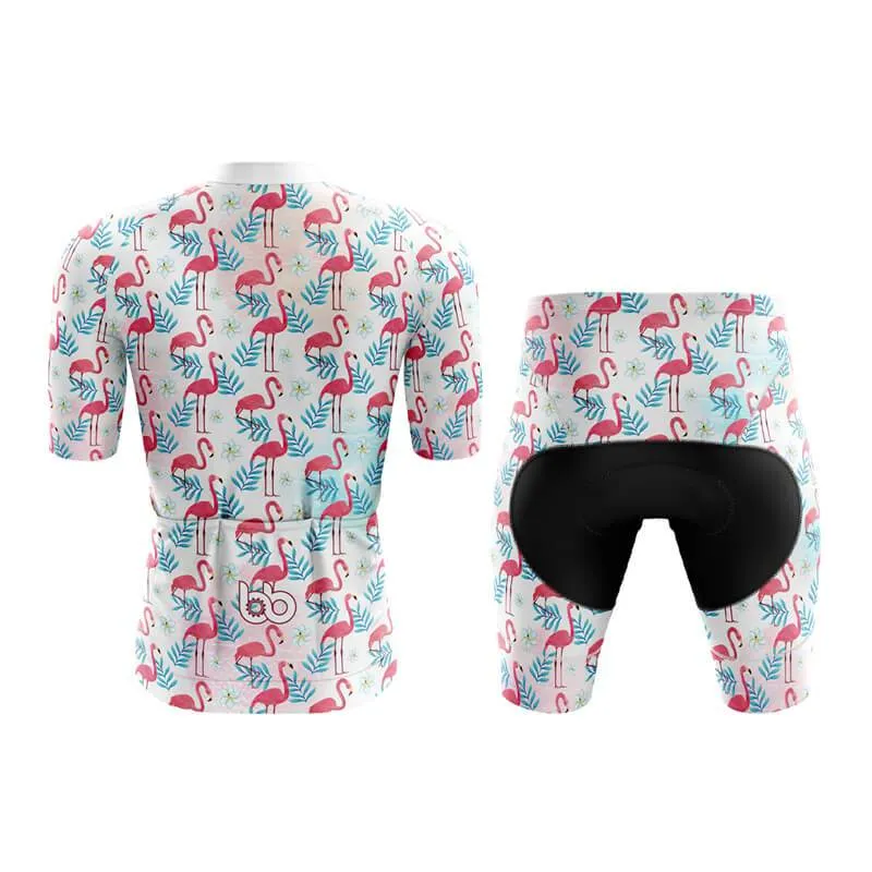 Flamingo New Aero Cycling Kit (V2)