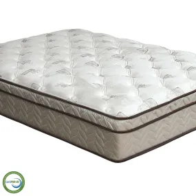 Lilium White/Brown 13" Euro Pillow Top Mattress, Cal.King