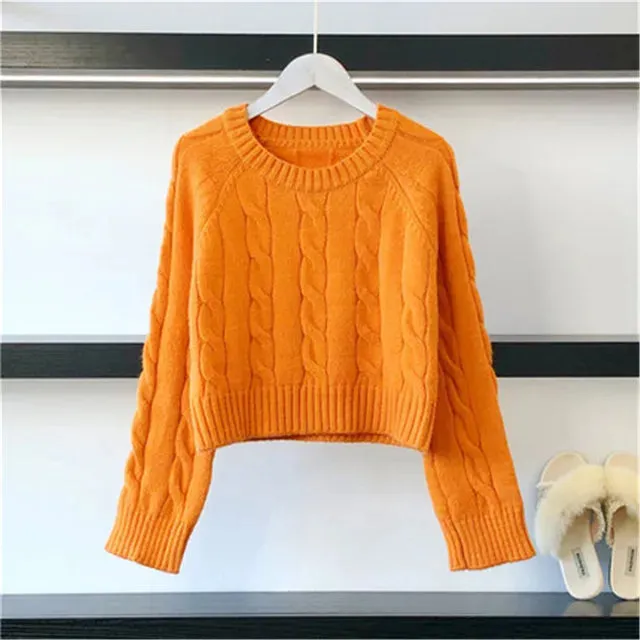 Pre Order:  Solid Casual Crop Knitted Sweater