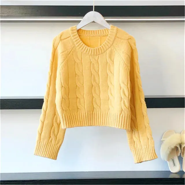 Pre Order:  Solid Casual Crop Knitted Sweater