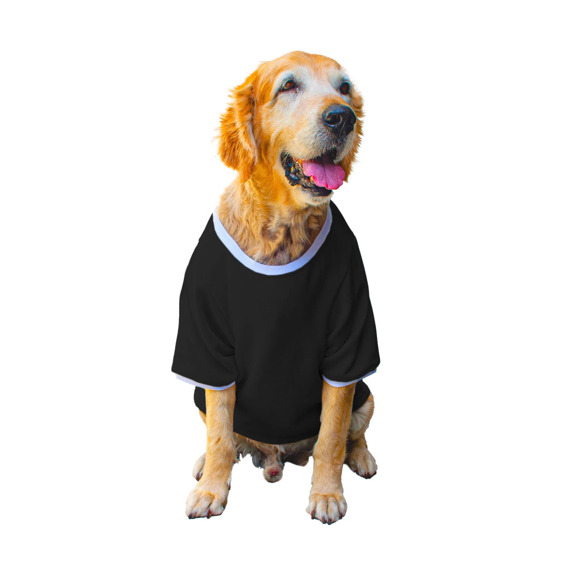 Ruse 'Basics' "Who Needs A Pot Of Gold?" Printed Crew Neck Full Sleeve Expedition Sweatshirt For Dogs