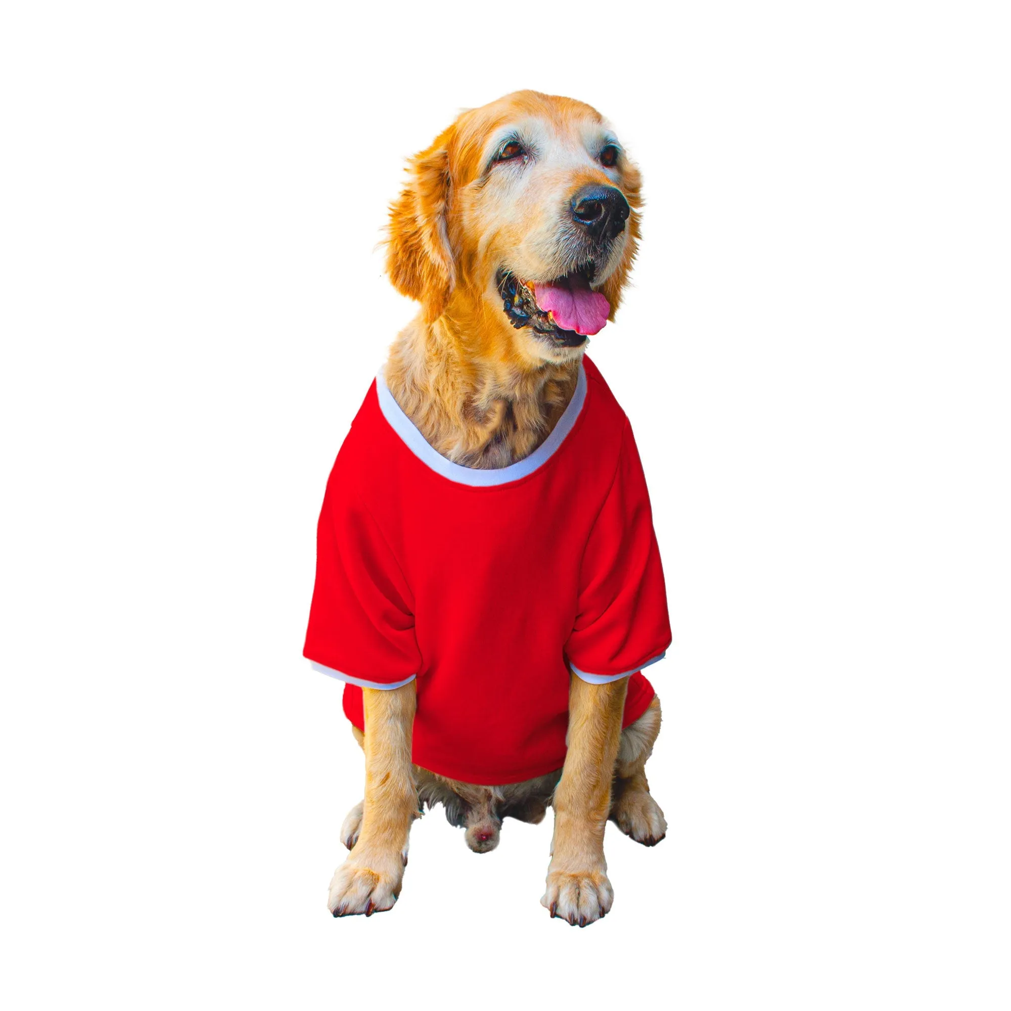 Ruse 'Basics' "Who Needs A Pot Of Gold?" Printed Crew Neck Full Sleeve Expedition Sweatshirt For Dogs