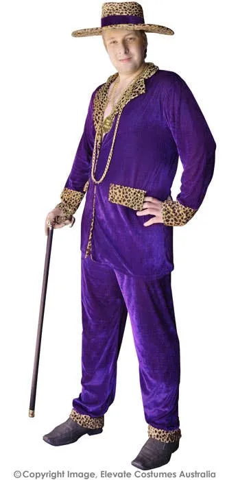 Top Pimp Plus Size Mens Purple Velvet Mac Daddy Costume